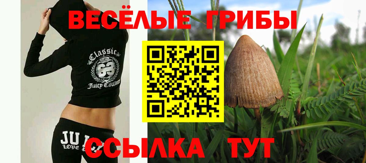 Псилоцибиновые грибы мицелий Осинники